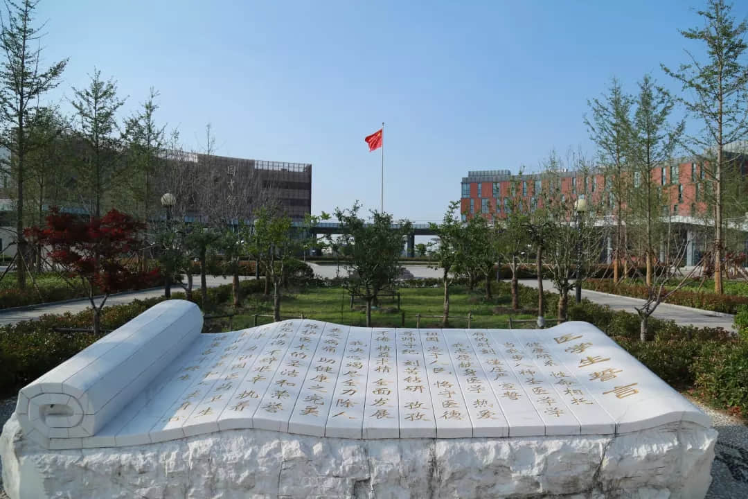 20190717_091447_001.jpg
