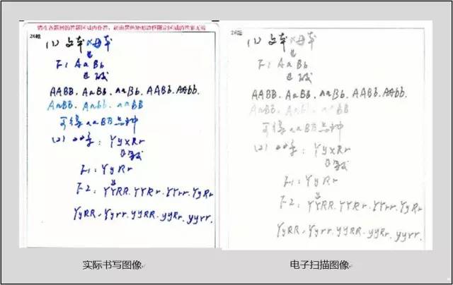 微信图片_20200628095147.jpg