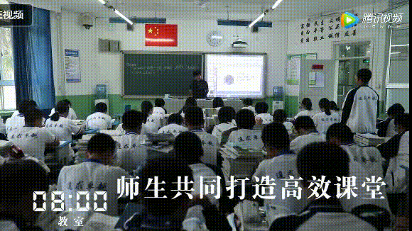 5.gif