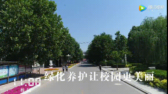 8.gif