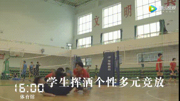 14.gif