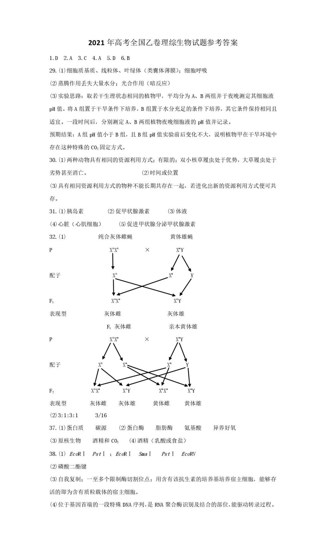 106.jpg